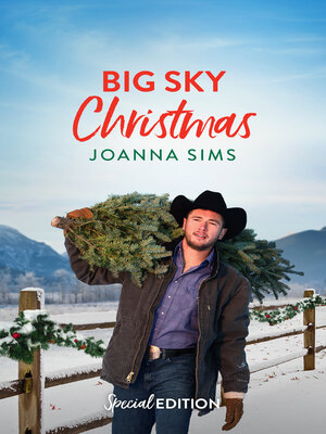 cover image of Big Sky Christmas